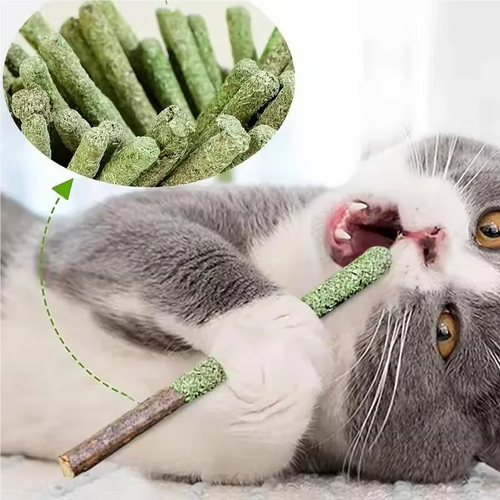 6pcs Natural Matatabi Cat Stick Mint Caught Bite Excited Rods Silvervine For Cat Teeth Cleaning Treating Pet Supply Cat Toys